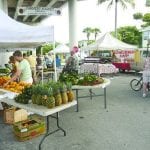 article image -